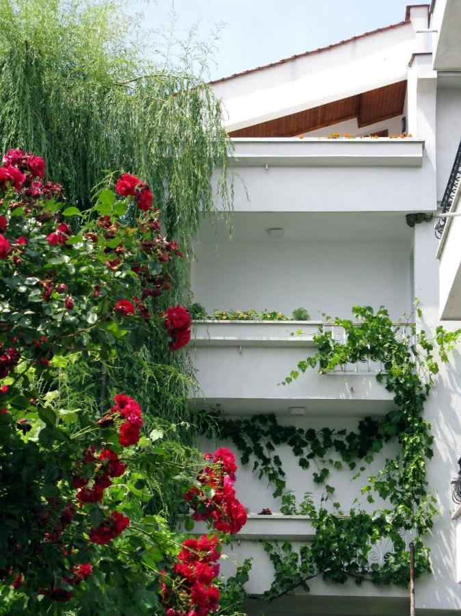 Guest House Barbov Obzor Exteriér fotografie