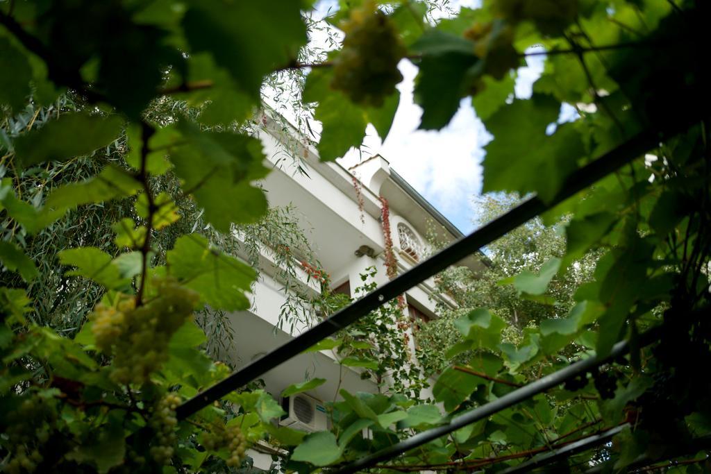 Guest House Barbov Obzor Exteriér fotografie