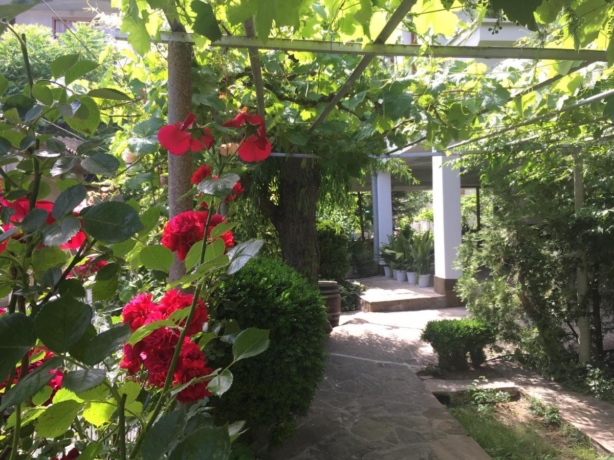 Guest House Barbov Obzor Exteriér fotografie